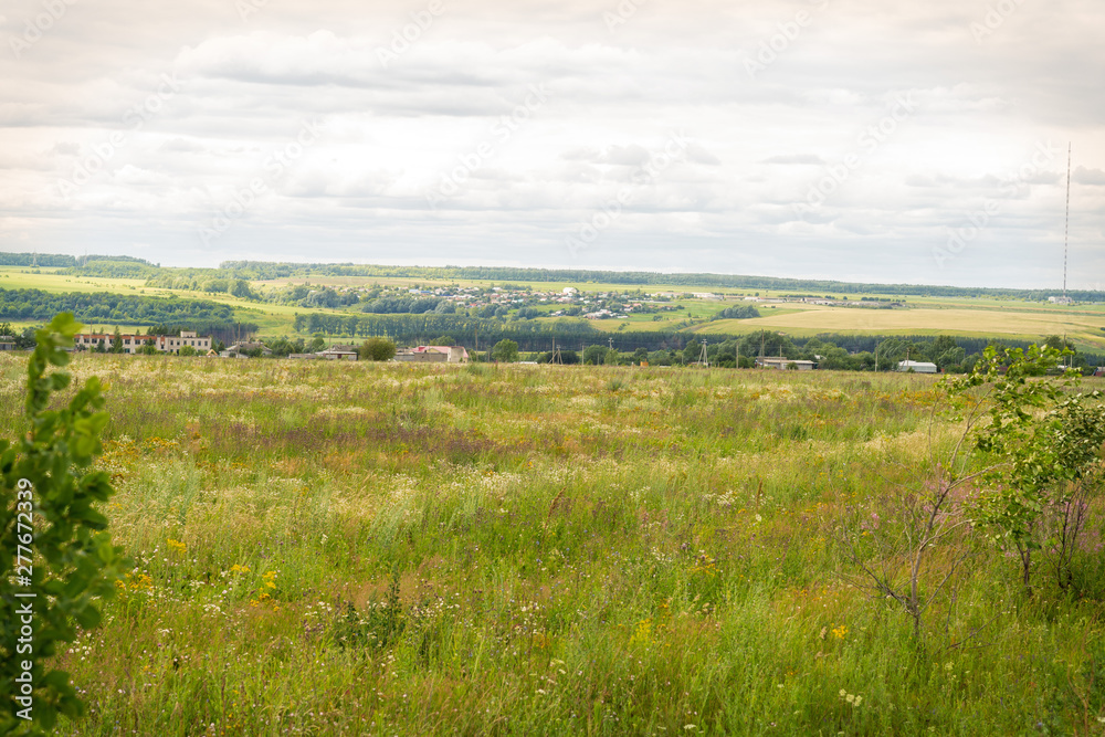 blooming uncultivated fields in Chuvashia,shot on a cloudy summer day