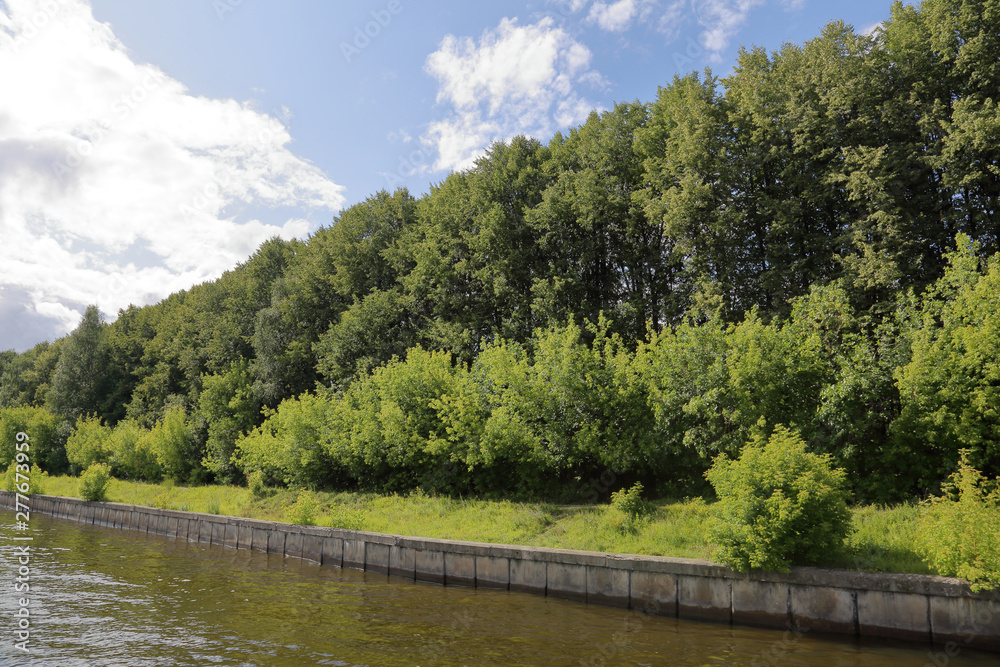 Bright green deciduous forest on the banks of the summer river Bright green deciduous forest on the banks of the summer river