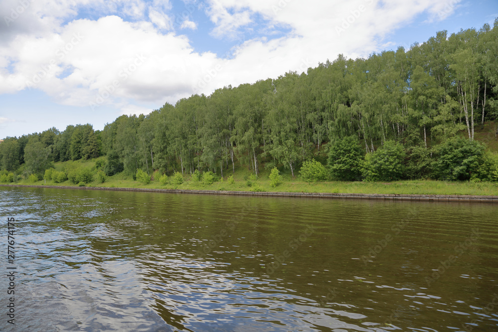 Bright green deciduous forest on the banks of the summer river