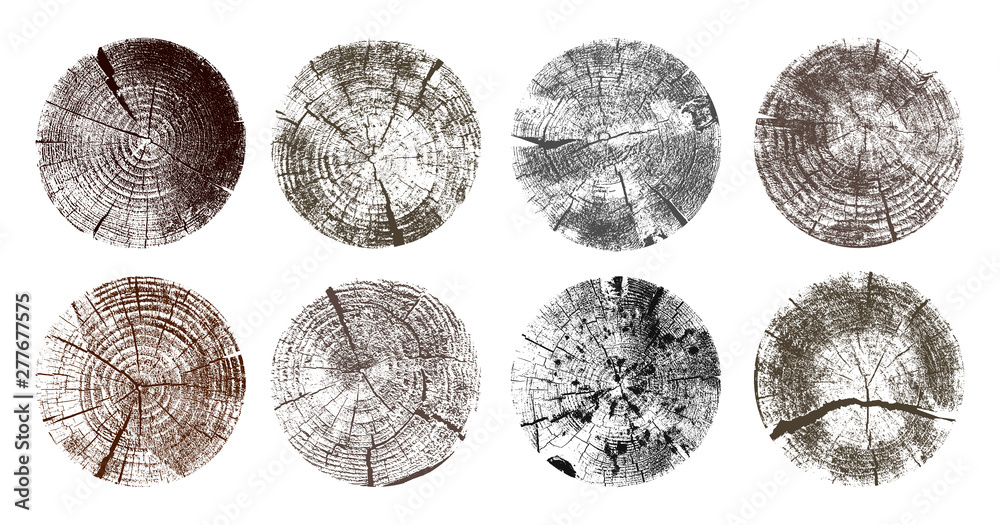 Set of tree rings. Wood texture of wavy ring pattern from a slice of tree. Grayscale wooden stump. Vector illustration. Isolated on white background. - obrazy, fototapety, plakaty 