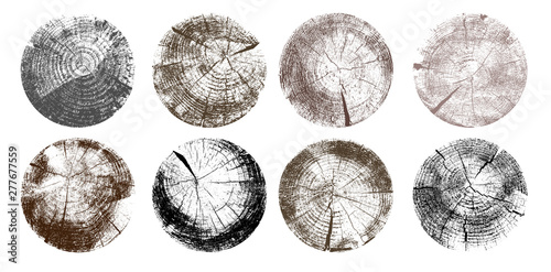 Set of tree rings. Black and gray wood texture of wavy ring pattern from a slice of tree. Grayscale wooden stump. Vector illustration. Isolated on white background.