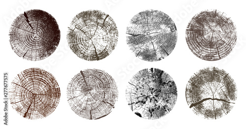 Set of tree rings. Wood texture of wavy ring pattern from a slice of tree. Grayscale wooden stump. Vector illustration. Isolated on white background.