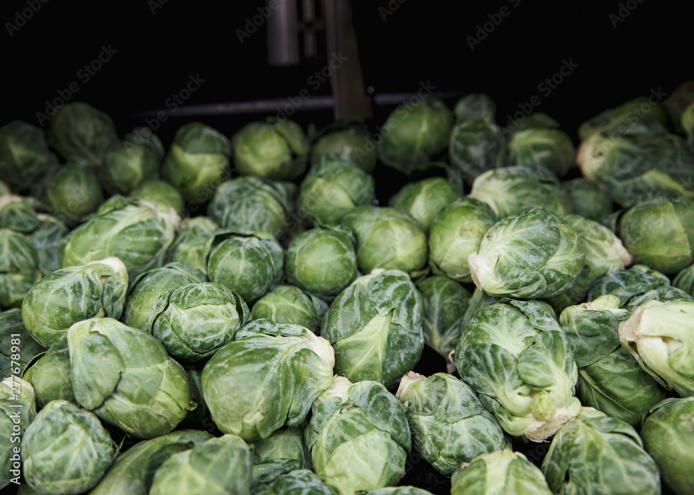 Fototapeta premium Heap of Brussels Sprouts