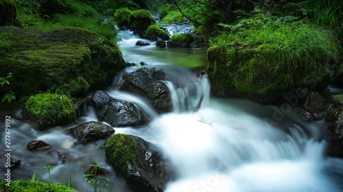 新緑の渓流タイムラプス