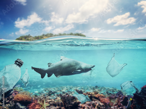 Photography Plastic bags and bottles underwater in the ocean.