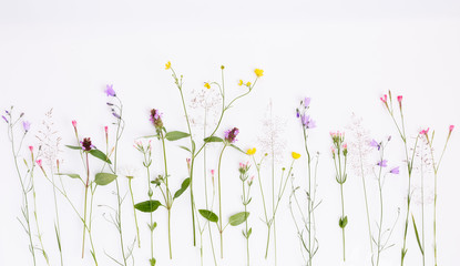 Floral pattern with wildflowers, green leaves, branches on white background. Flat lay, top view.