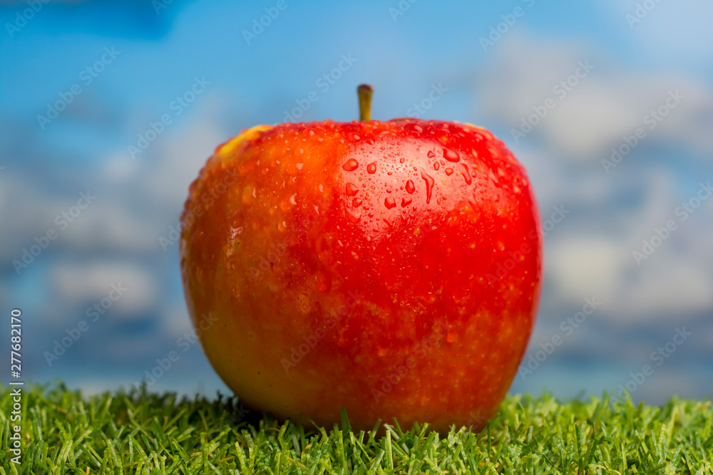Apple on green grass and with blue sky background Apple on green grass and with blue sky background
