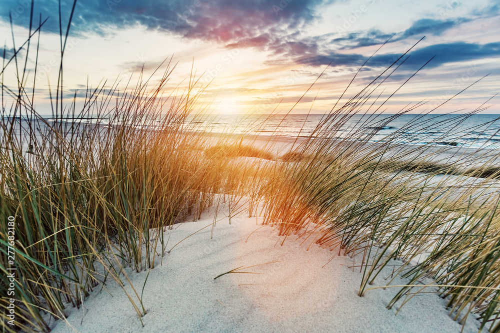 Grassy dunes and the Baltic sea at sunset - obrazy, fototapety, plakaty 