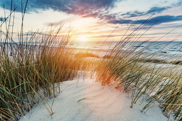 Leinwandbilder Dünen Grasdünen an der Ostsee bei Sonnenuntergang  © Photocreo Bednarek