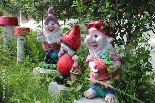 gnomes in the garden © Дарья Мочалкина