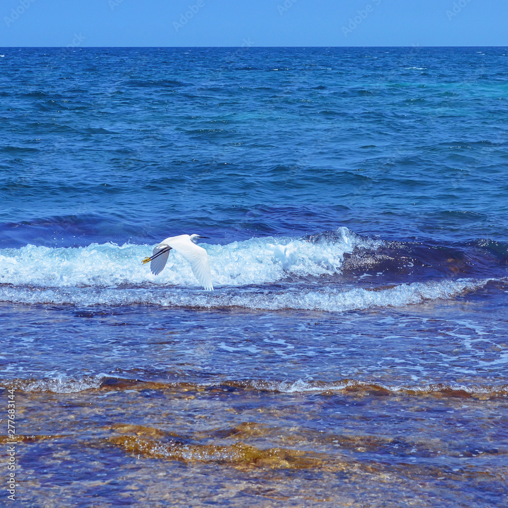 Fototapeta premium resort photos from vacation travel sea