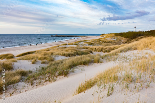 Grassy dunes and the Baltic sea