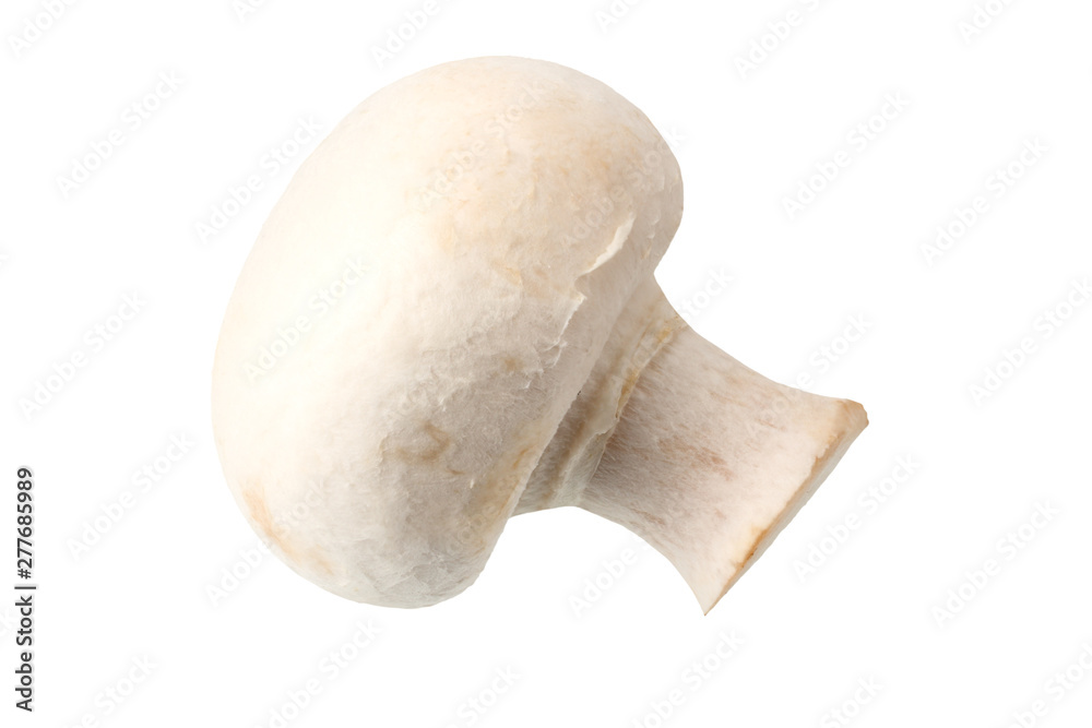 mushrooms isolated on a white background. Food mushrooms isolated on a white background. Food