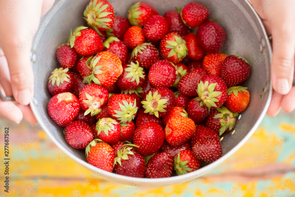 Fresh strawberries in colander, female hands Fresh strawberries in colander, female hands