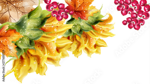 Sunflowers card Vector watercolor. Autumn fall floral decors