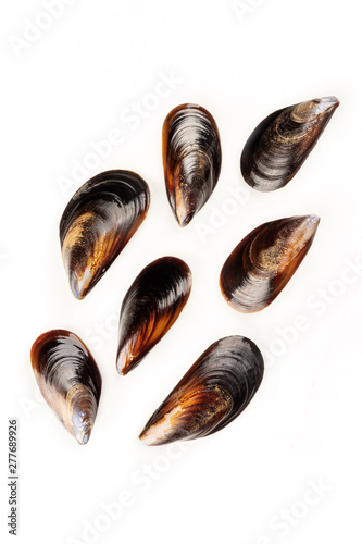 Raw mussels, shot from the top on a white background with a place for text, a flat lay composition
