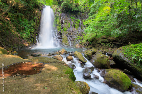                shiraito waterfall                   