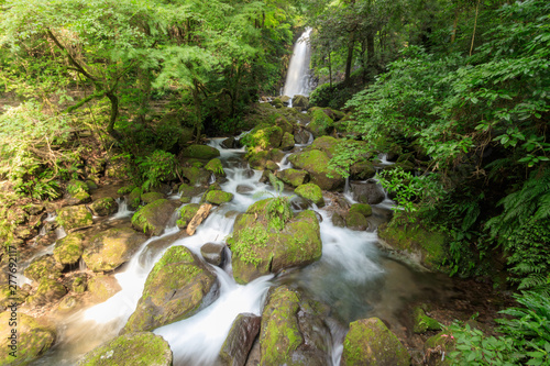                shiraito waterfall                   