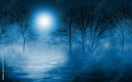 Empty dark background. The glow of the moon in the forest, moonlight through the trees in the forest. The reflection of moonlight in the water photo
