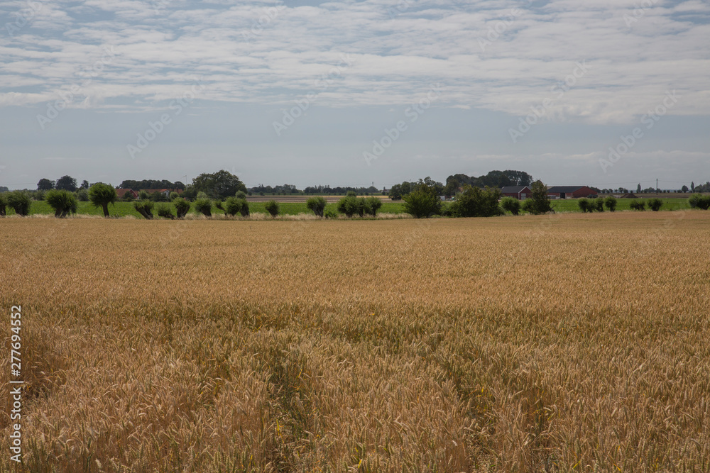 Skånskt landscape