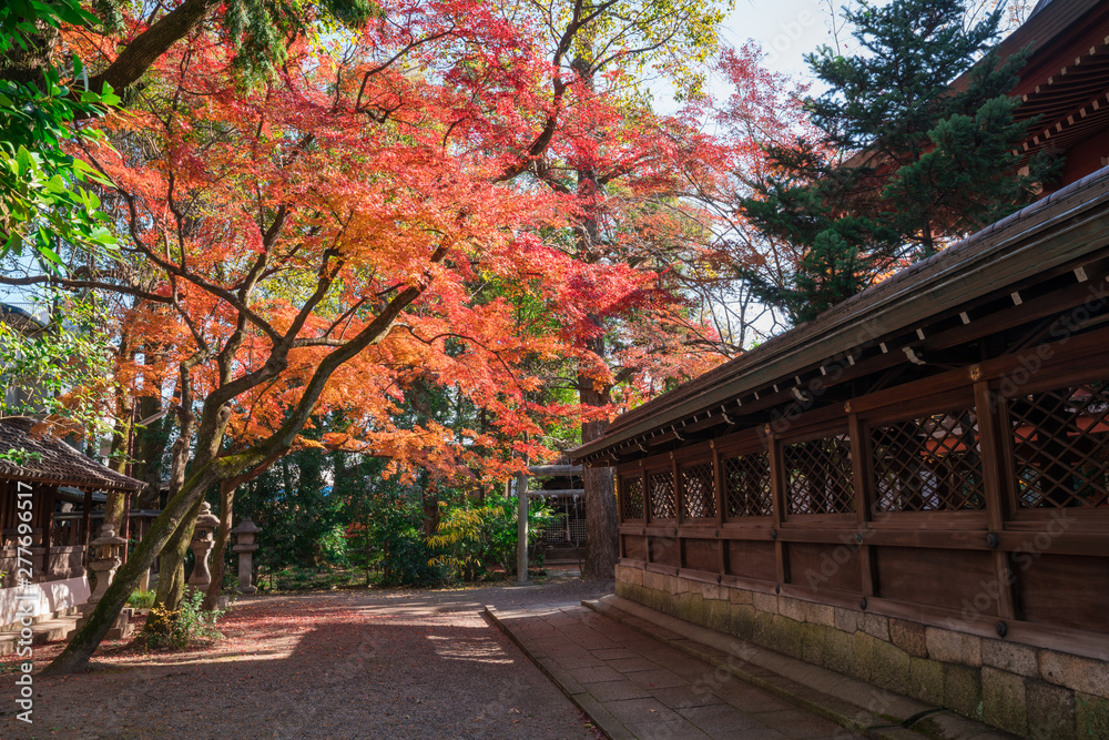 京都　上御霊神社の紅葉