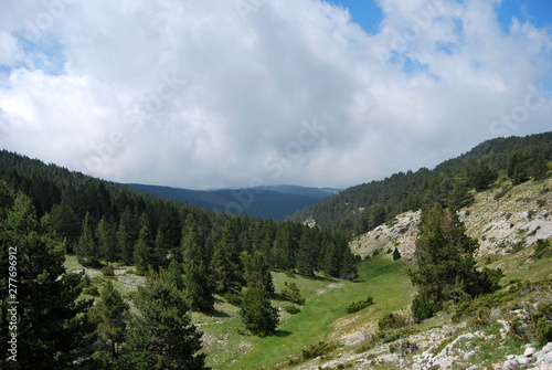 view of forest and mountains
