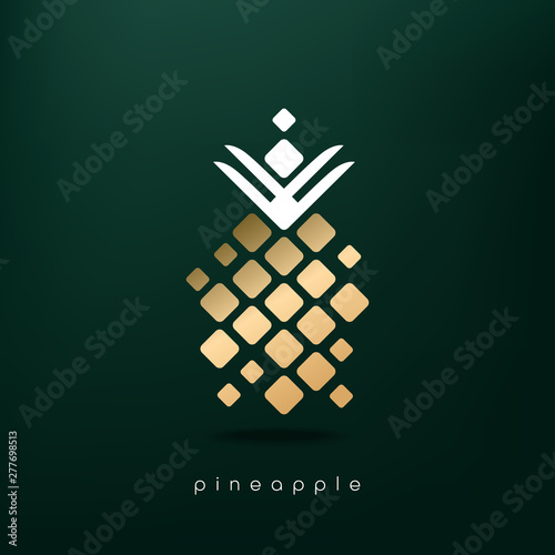Abstract pineapple logo design. Vector illustration.