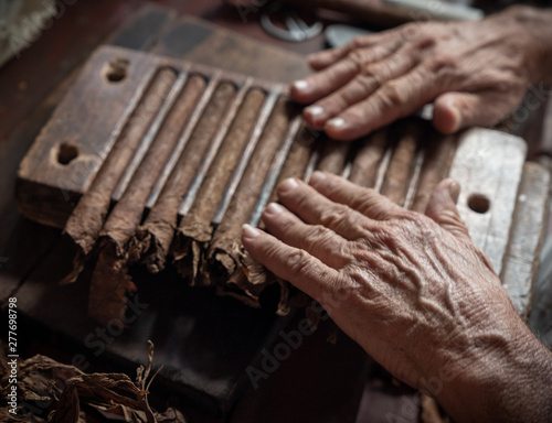 Fotografia, Obraz Cigar rolling or making by torcedor in cuba
