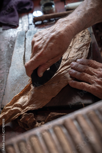 Cigar rolling or making by torcedor in cuba