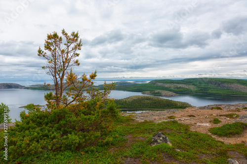 Kuzova Island archipelago in the White Sea, view from the top of the island German Kuzov photo