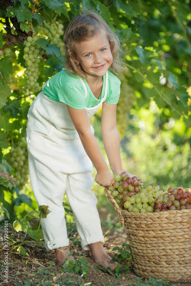 Fototapeta premium Child with grapes on nature. 