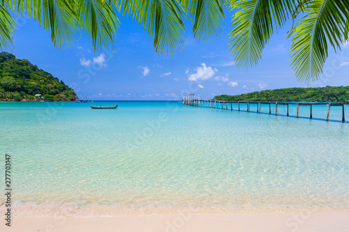 Tropical sea on sunny day with palm leaf on top.