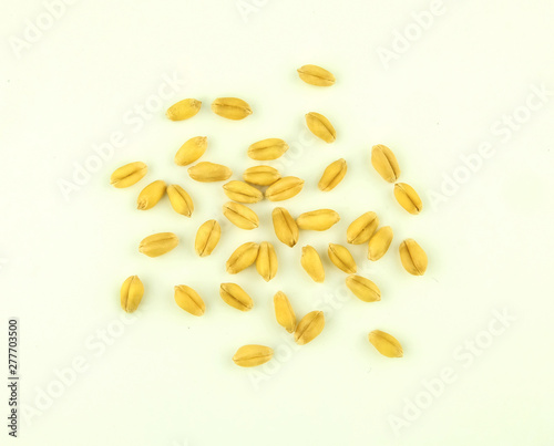 group of wheat grain on white background
