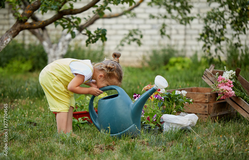 Cute toddler girl watering plants in the garden at summer sunny day. Little child with garden tools and  watering can in domestic garden