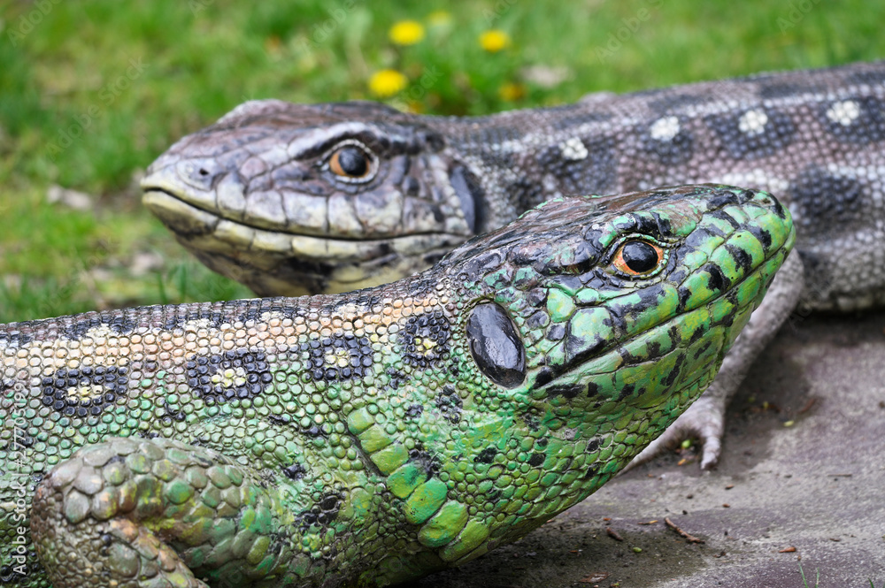 Two large plastic lizard outdoors. Two large plastic lizard outdoors.