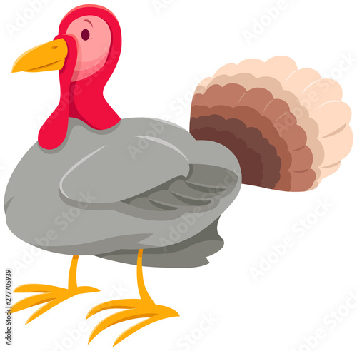 funny turkey farm animal cartoon character