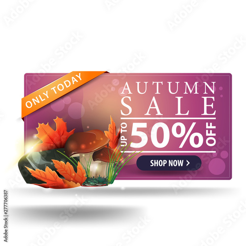 Modern autumn discount green 3D banner with button, mushrooms and autumn leaves