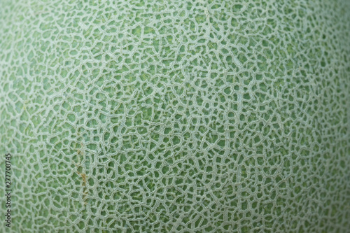 Skin of cantaloupe melon background and texture