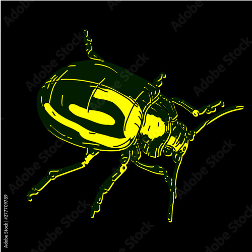 käfer bug blattkäfer