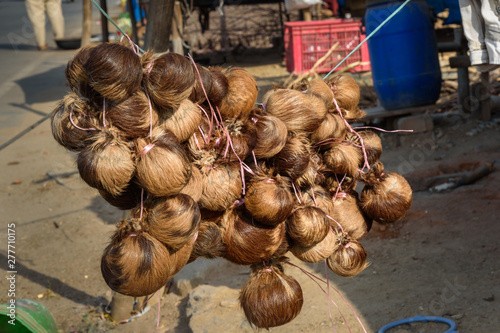 Obraz na płótnie Indian woman makes fake Kasturi Deer Musk Pod from dog's skin on the street in Ajmer. India w salonie