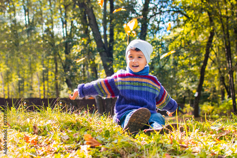 boy in sweater and hat sitting on the grass boy in sweater and hat sitting on the grass