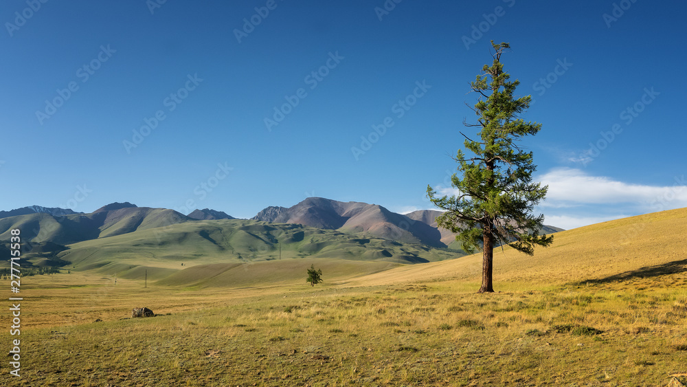 Fototapeta premium panorama of Chui ridge, Russia, Altai, June