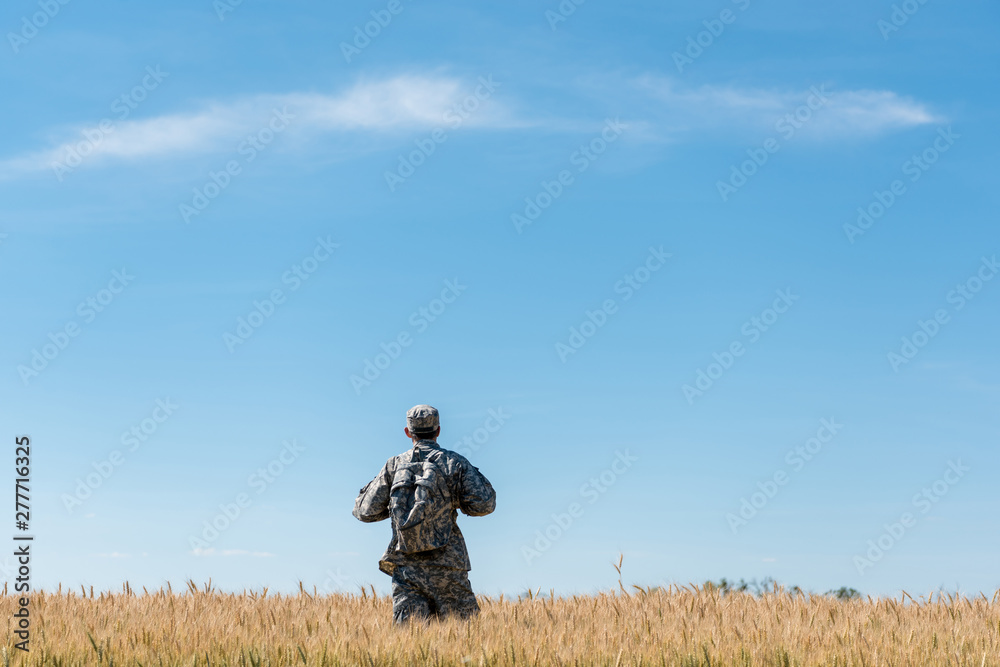 back view of soldier in military uniform with backpack standing in field with golden wheat back view of soldier in military uniform with backpack standing in field with golden wheat