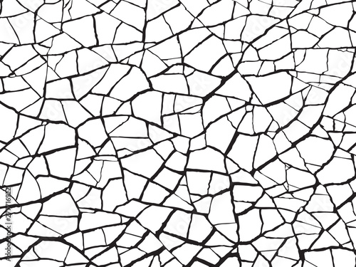 The cracks texture white and black. Vector background.Cracked earth. Structure of cracking. Cracks in dry surface soil texture. shards