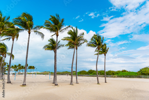 Palm trees and sand in Miami Beach