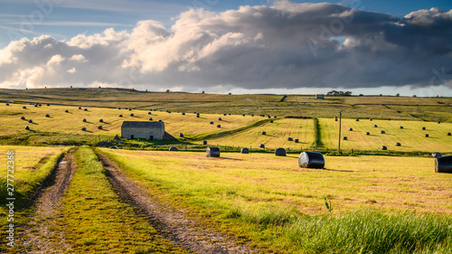 Black Plastic Hay Bales in field, in early summer harvesting in Baldersdale, North Pennines, England photo