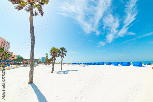 Fototapeta Naklejka Na Ścianę i Meble -  White sand and palm trees in Clearwater beach