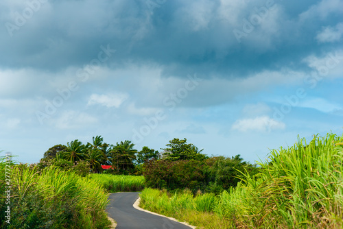 Overcast sky over a contry road in Guadeloupe