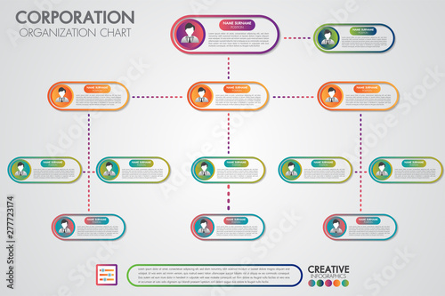 Corporate organization chart template with business people icons. Vector modern infographics and simple with profile illustration.Corporate hierarchy and human model connection.