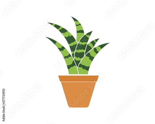 plant in pot icon logo vector illustration design